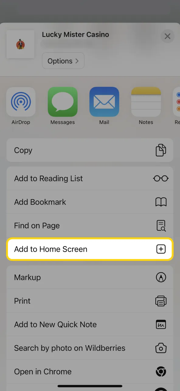 Lucky Mister home screen place shortcut icon on device.