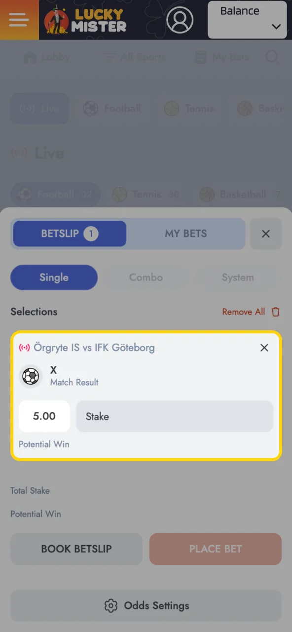 Lucky Mister stake review confirm bet size and potential return.
